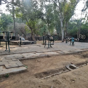 DDA Park, Green Belt, A1 Block, Janakpuri-1