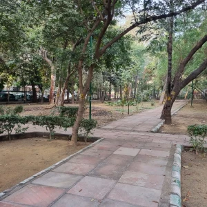 DDA Park, Green Belt, A1 Block, Janakpuri-1
