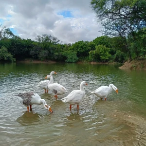 District Park, Sector-23, Dwarka