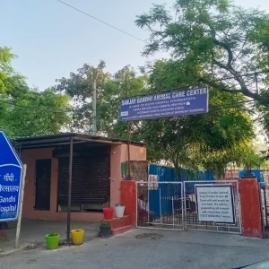 Sanjay Gandhi Animal Care Centre, Raja Garden