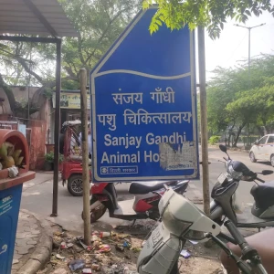 Sanjay Gandhi Animal Care Centre, Raja Garden-1