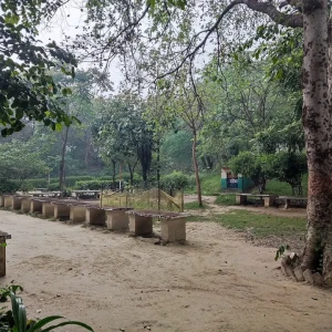 Paliwal Park, Civil Lines-1