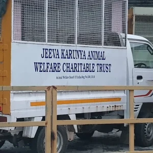 Jeeva Karunya Animal Welfare Charitable Trust-2