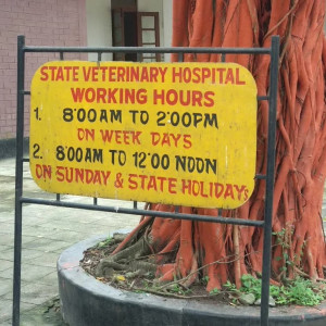 Veterinary Hospital, Chenikuthi-1