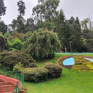 Dog Park, Botanical Garden-1