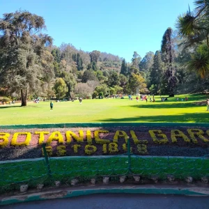 Government Botanical Garden