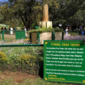 Government Botanical Garden-2