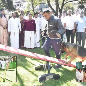 Dog Park, Botanical Garden