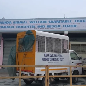 Jeeva Karunya Animal Welfare Charitable Trust-1