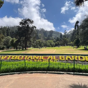 Dog Park, Botanical Garden-3