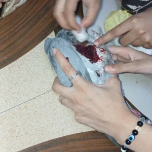 Chehek Charitable Trust