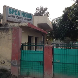 SPCA Animal Shelter & Hospital