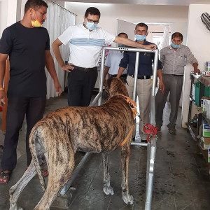 Veterinary Hospital, Chenikuthi-3
