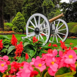 Dog Park, Botanical Garden-2