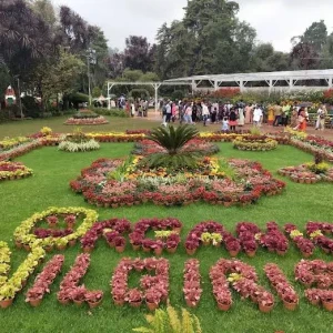 Government Botanical Garden-1