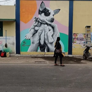 Meenambakkam ABC Center