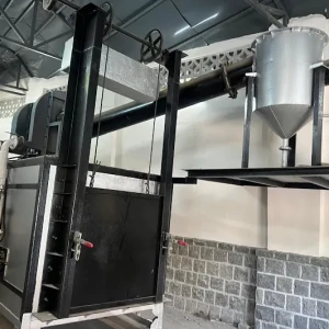 Small Pet Animal Crematorium-2