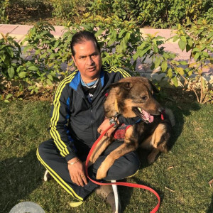 Black and Brown Bhotia Dog Veer is Missing from New Delhi-3