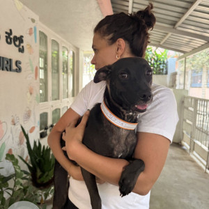 Found: Black Female Indie Dog from Bengaluru-2