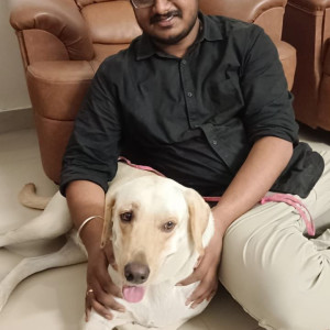 Found: Golden Male Labrador Dog from Kagithapuram