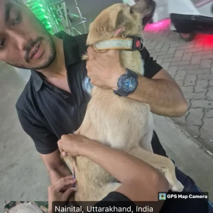 Rabies vaccination-46