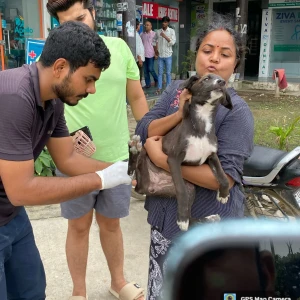 Rabies vaccination-74