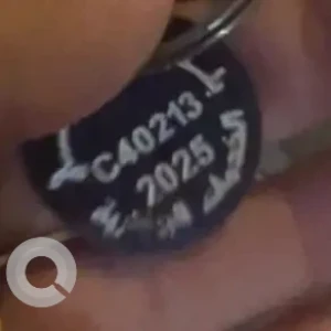 A White-Brown Mix Domestic Shorthair Cat Found from Palace beauty center in business bay-2