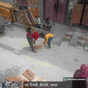 Rabies vaccination-156