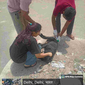 Rabies vaccination-162