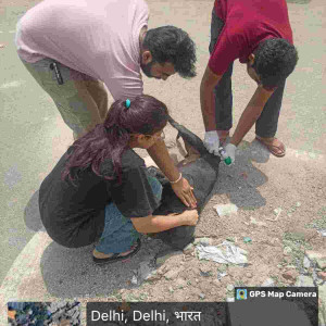 Rabies vaccination-163