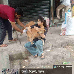 Rabies vaccination-167