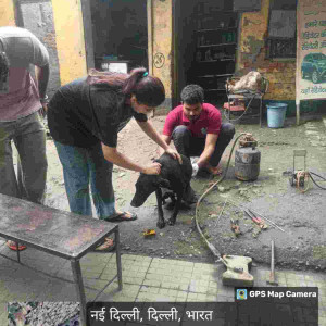 Rabies vaccination-174