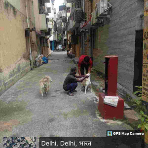 Rabies vaccination-178