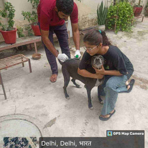 Rabies vaccination-180
