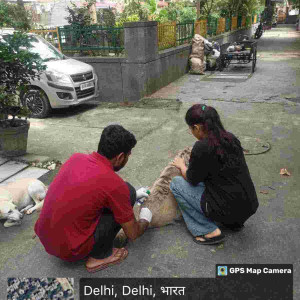 Rabies vaccination-181