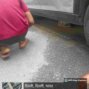 Rabies vaccination-186