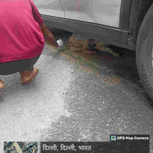 Rabies vaccination-192