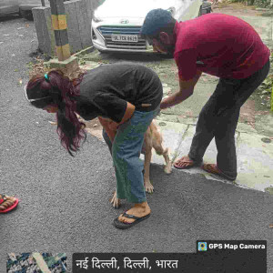 Rabies vaccination-194