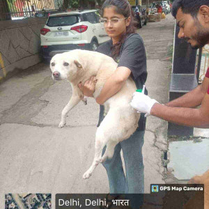 Rabies vaccination-200