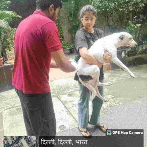 Rabies vaccination-210