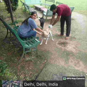 Rabies vaccination-213