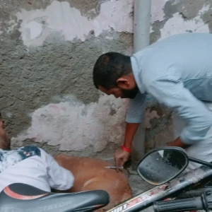 Rabies vaccination-477