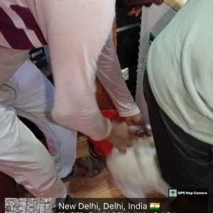 Rabies vaccination-403