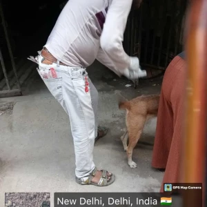 Rabies vaccination-401