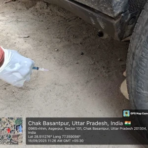 Rabies vaccination-386