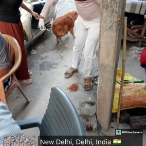 Rabies vaccination-400