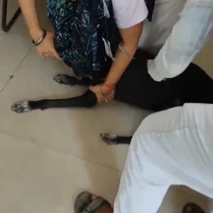 Rabies vaccination-611