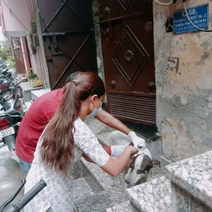 Rabies vaccination-591