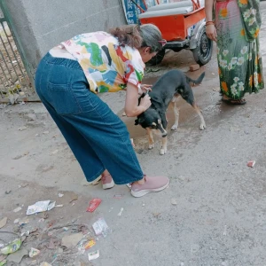 Rabies vaccination-489