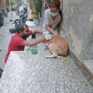 Rabies vaccination-592